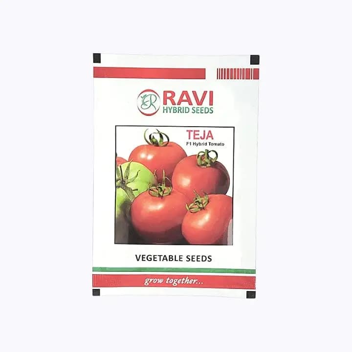 ரவி தேஜா F1 கலப்பின தக்காளி விதைகள்