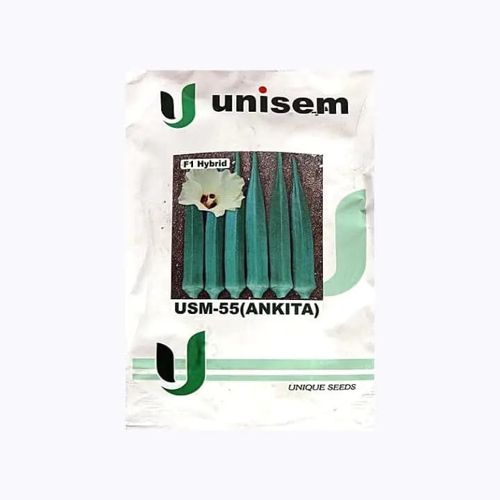 युनिसेम USM-55 (अंकिता) भिंडी बियाणे