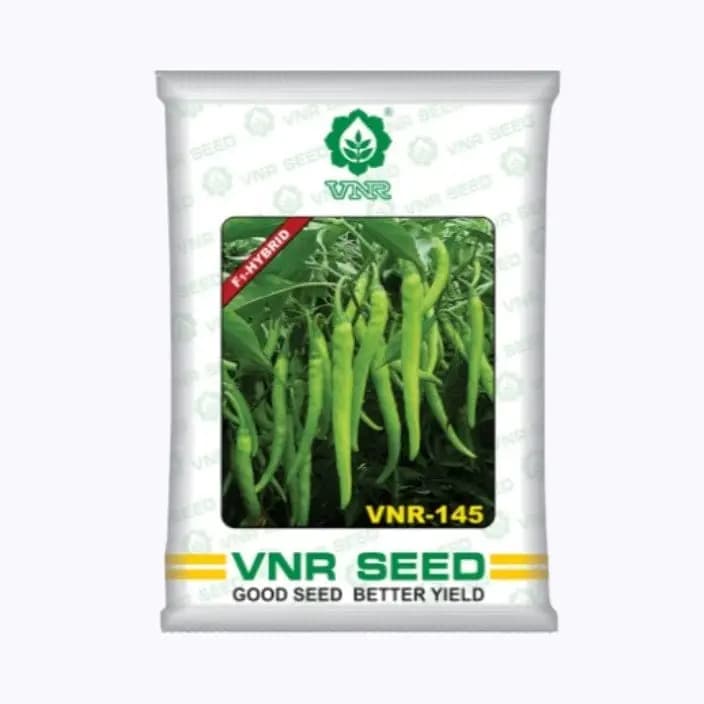 VNR 145 മുളക് വിത്തുകൾ