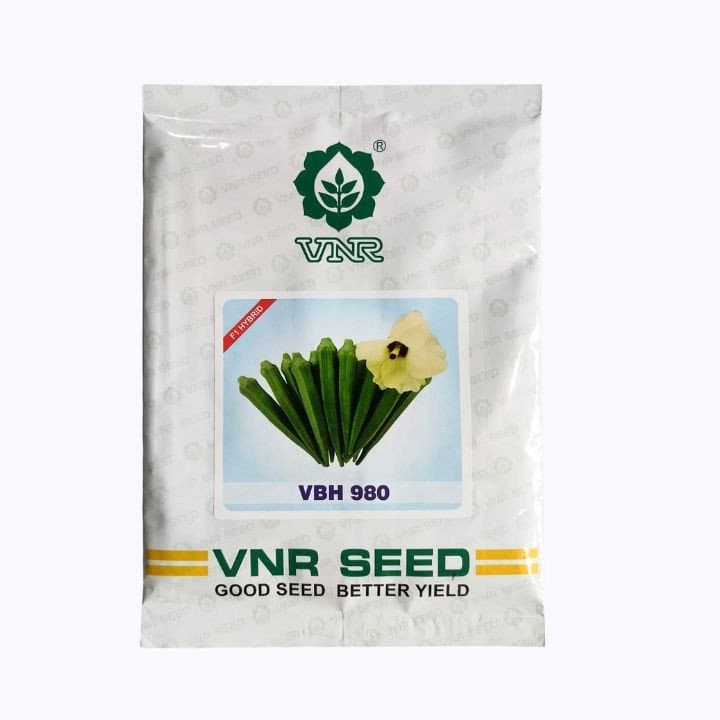 VNR 980 (VBH 980) F1 संकरित भिंडी बियाणे