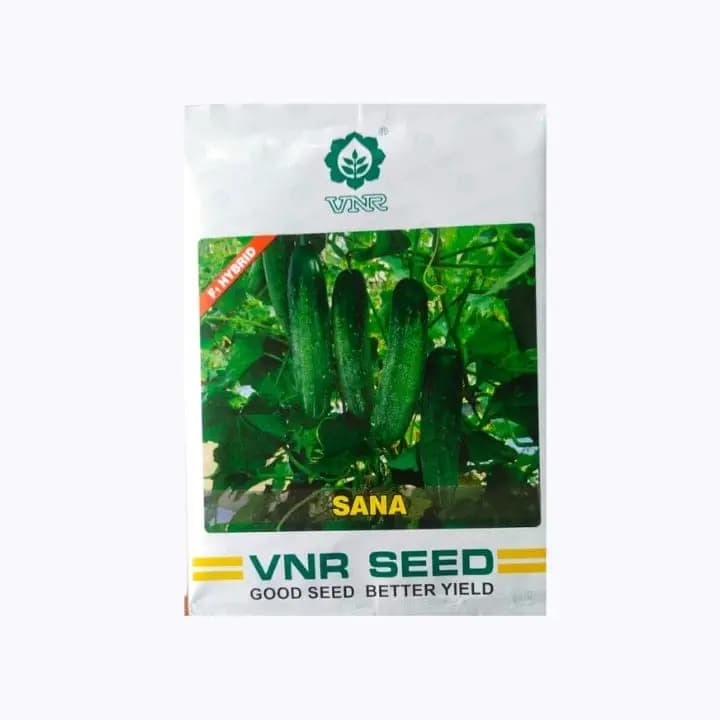 விஎன்ஆர் சனா வெள்ளரி விதைகள்