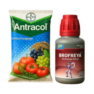 Crop Protection