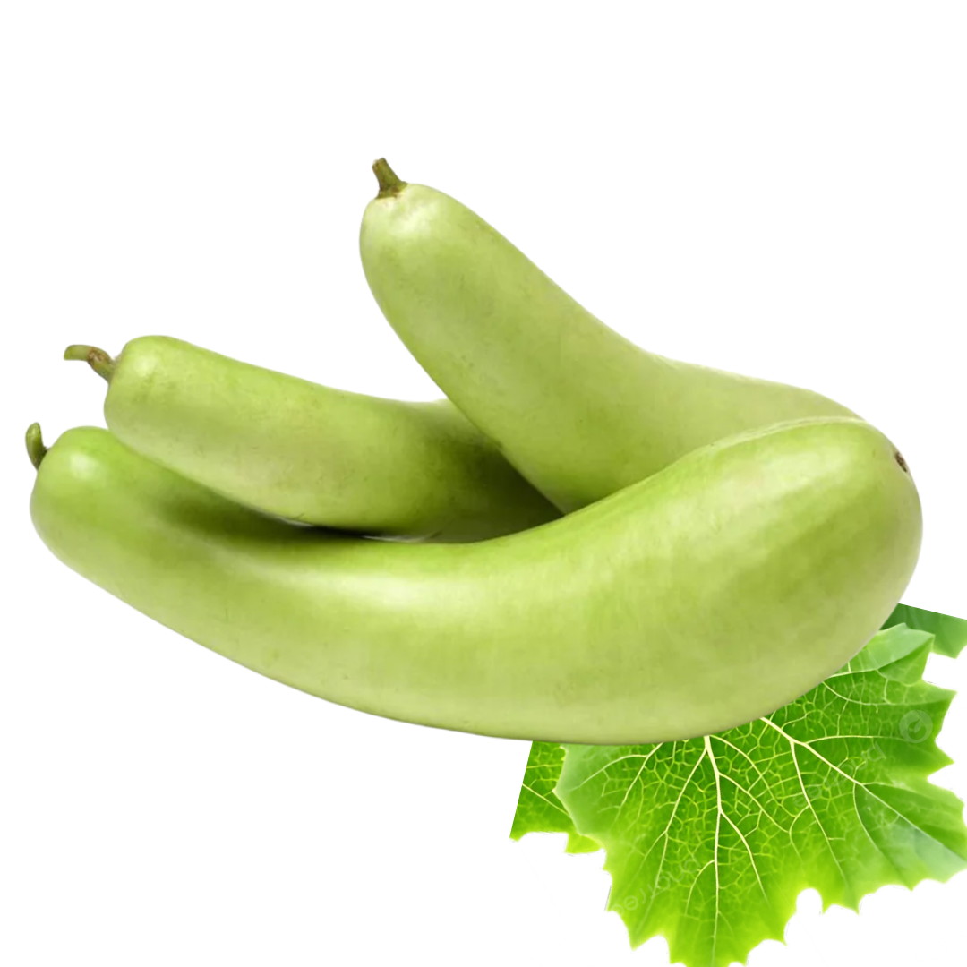 Bottle Gourd Seeds