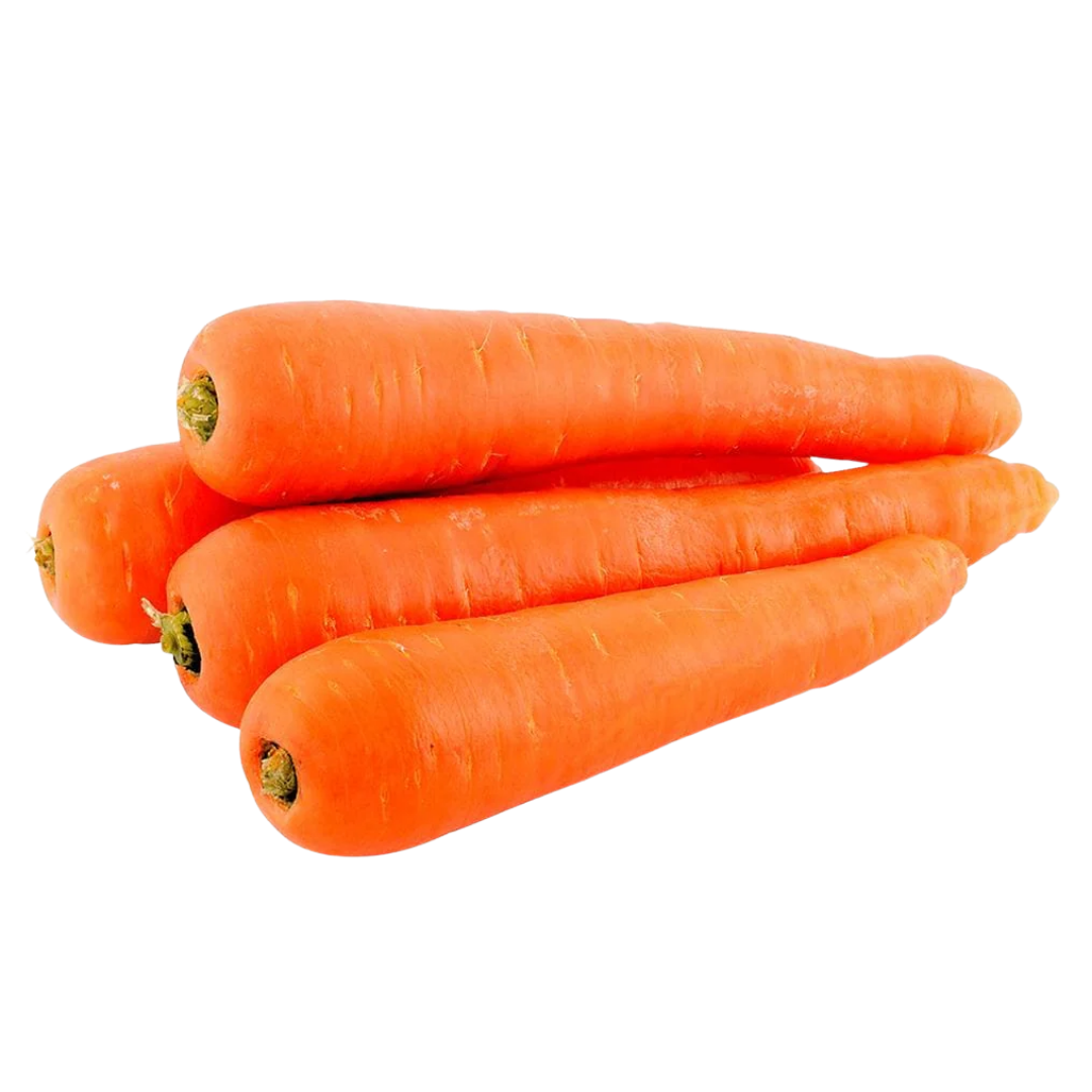 Carrot Seeds