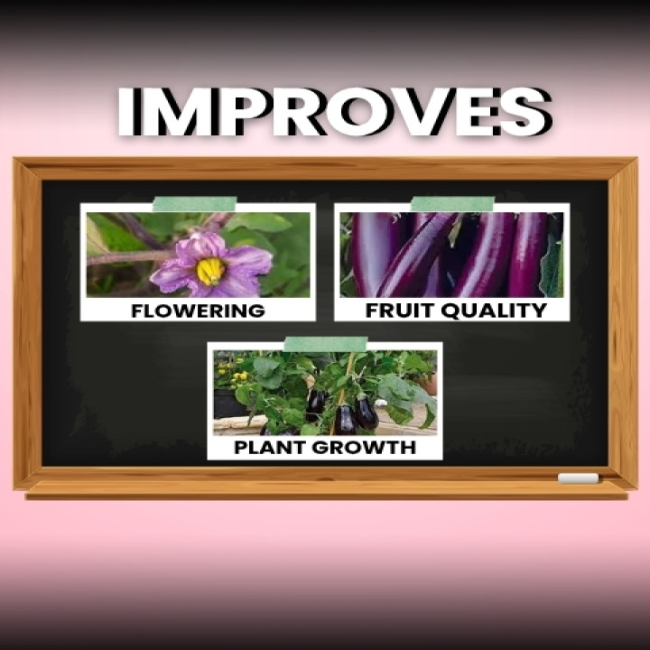 Katyayani Flowering Fertilizer Booster – thumb