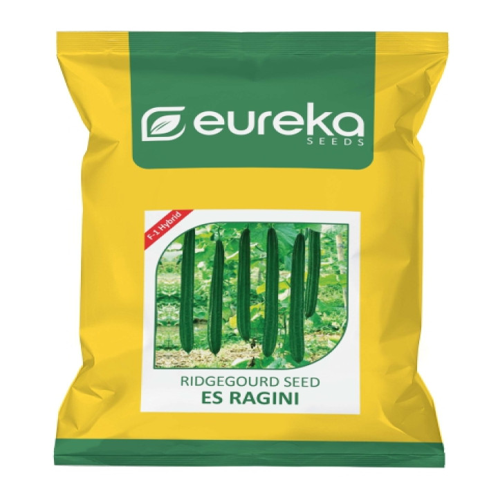 Eureka Ragini F1 Hybrid Ridge Gourd ES Seeds