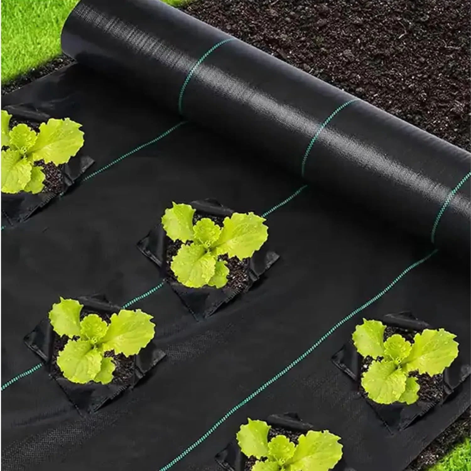 Singhal Garden Weed Control Mat Heavy Duty 90 GSM Landscape Fabric (Black) – thumb