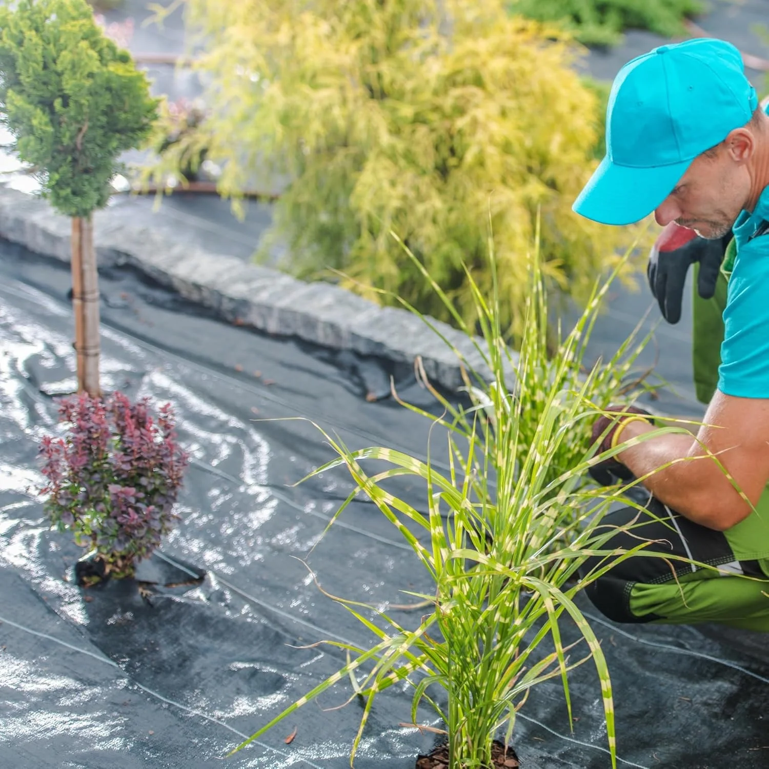 Singhal Weed Control Barrier Sheet – 100 GSM Landscape Fabric (0.60m x 10m) – thumb