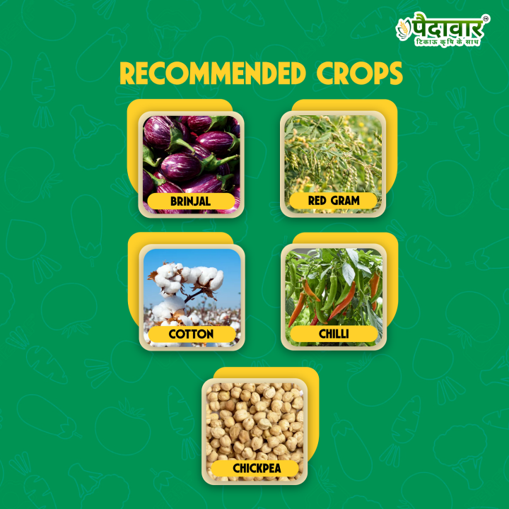 Paidavaar Shree Zone Emamectin Benzoate 5% SG Insecticide – thumb