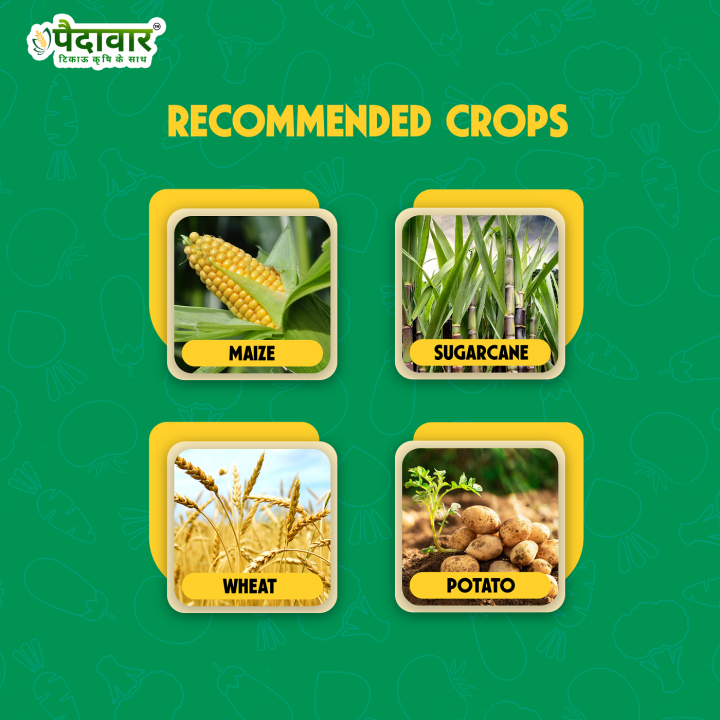 Paidavaar Advance-41 Glyphosate 41% SL Herbicide – thumb