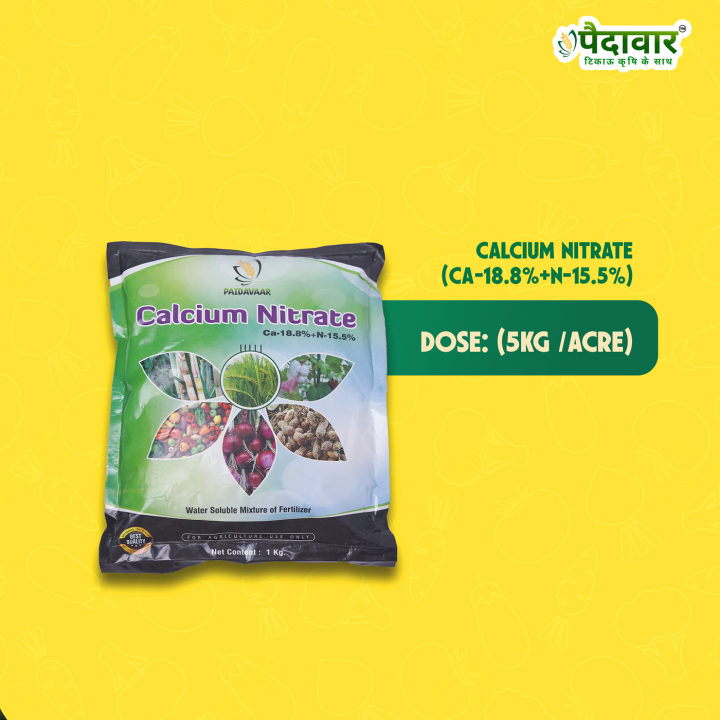 Paidavaar Calcium Nitrate (Ca 18.8% + N 15.5%) Water Soluble Fertilizer – thumb