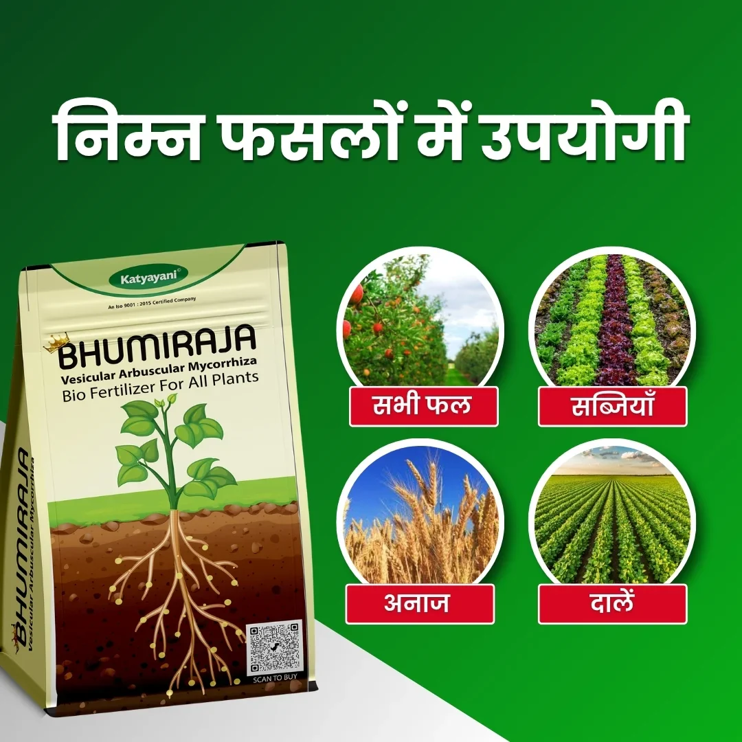 Katyayani Bhumiraja VAM Mycorrhizal Biofertilizer – thumb