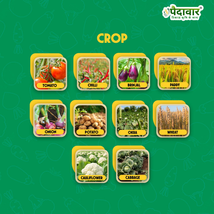 Paidavaar Pushp Shree Bio Based Plant Growth Promoter – thumb