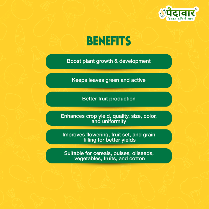 Paidavaar Zinc Sulphate 33% Micro Nutrient Fertilizer – thumb