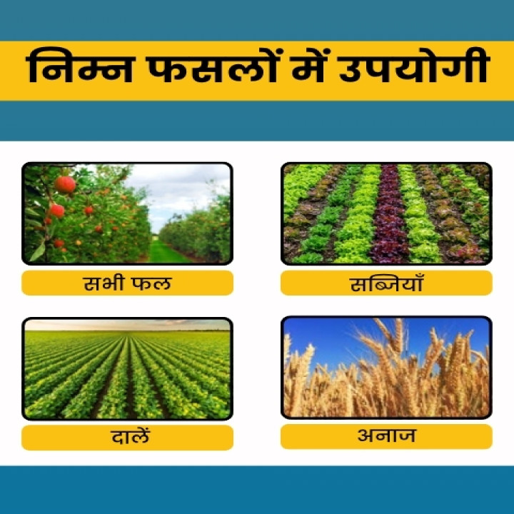 Katyayani Samartha Fungicide- Carbendazim 12 % + Mancozeb 63 % WP – thumb