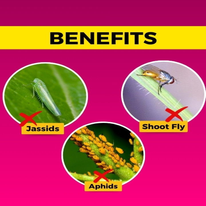 Katyayani Chakrawarti Insecticide – thumb