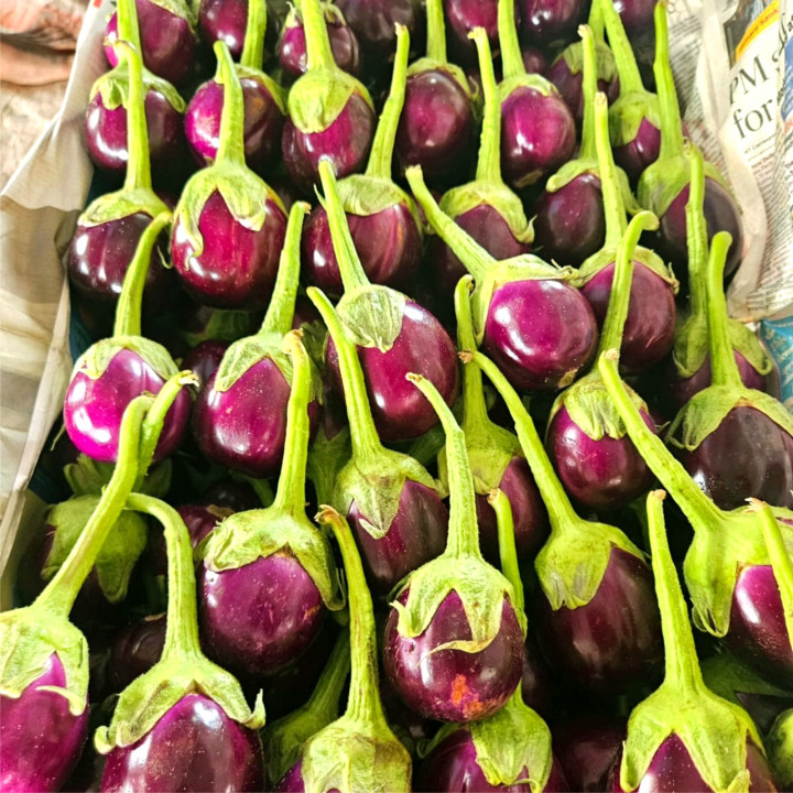 Sagar Ravaya F1 Hybrid Brinjal Seeds – thumb
