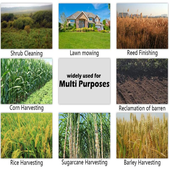 Neptune Trolley Brush Cutter / Grass Trimmer 52cc 2-Stroke Petrol Engine with Wheels (BC-520W) – thumb