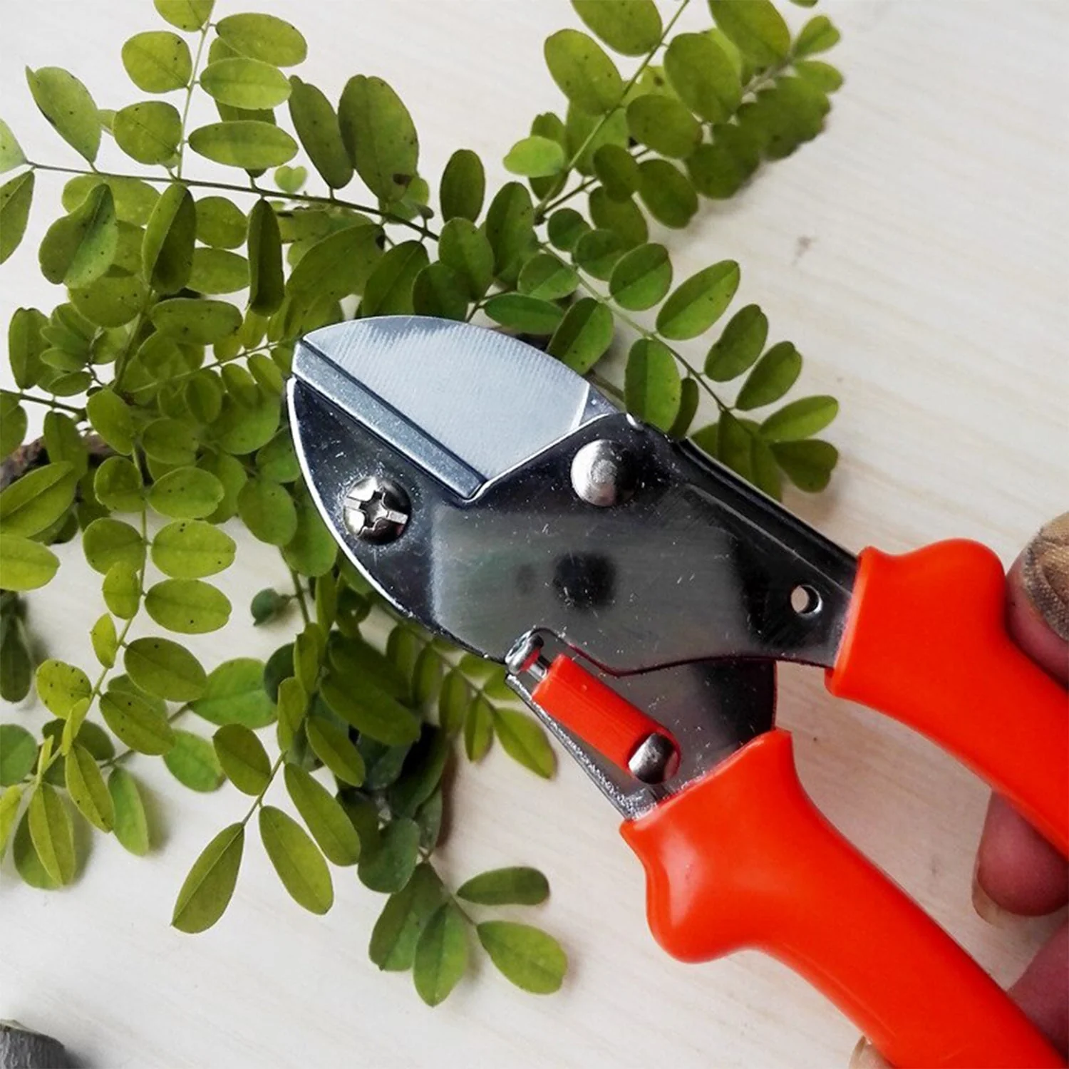 Professional Garden Scissor with Sharp Blade & Comfortable Handle – 18 cm – main view