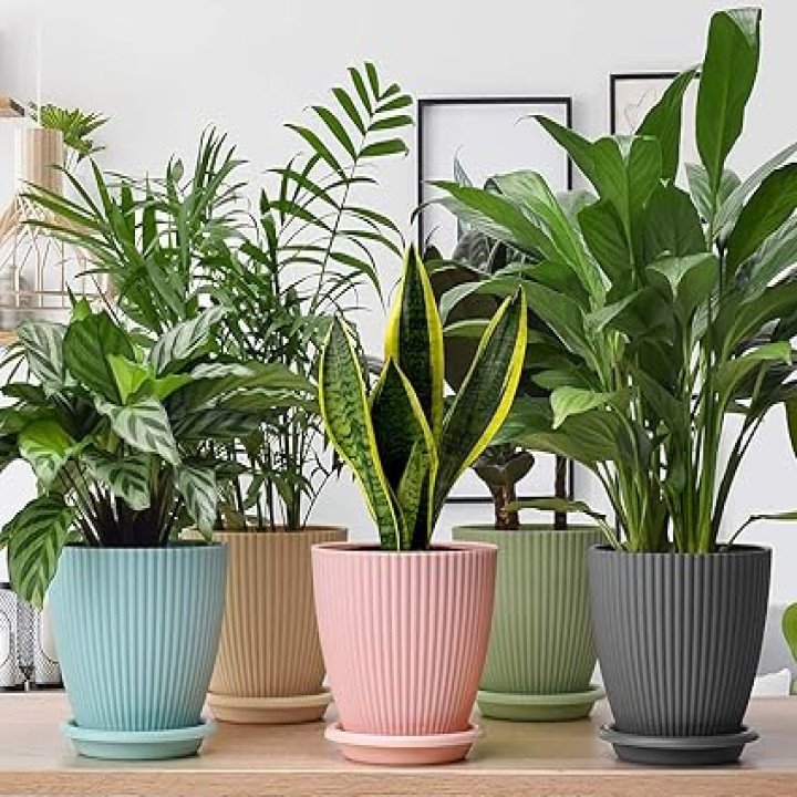 Plastic Round Flower Pot with Tray – thumb