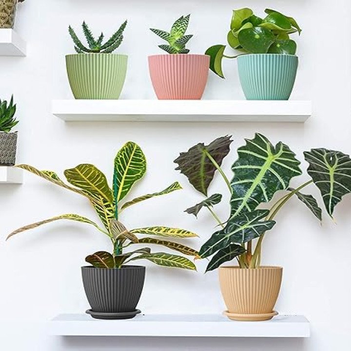 Plastic Round Flower Pot with Tray – thumb