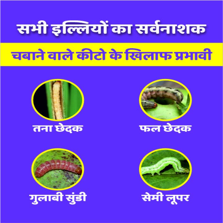 AgriVenture CARZONE Chlorantraniliprole 18.5% SC Insecticide – thumb