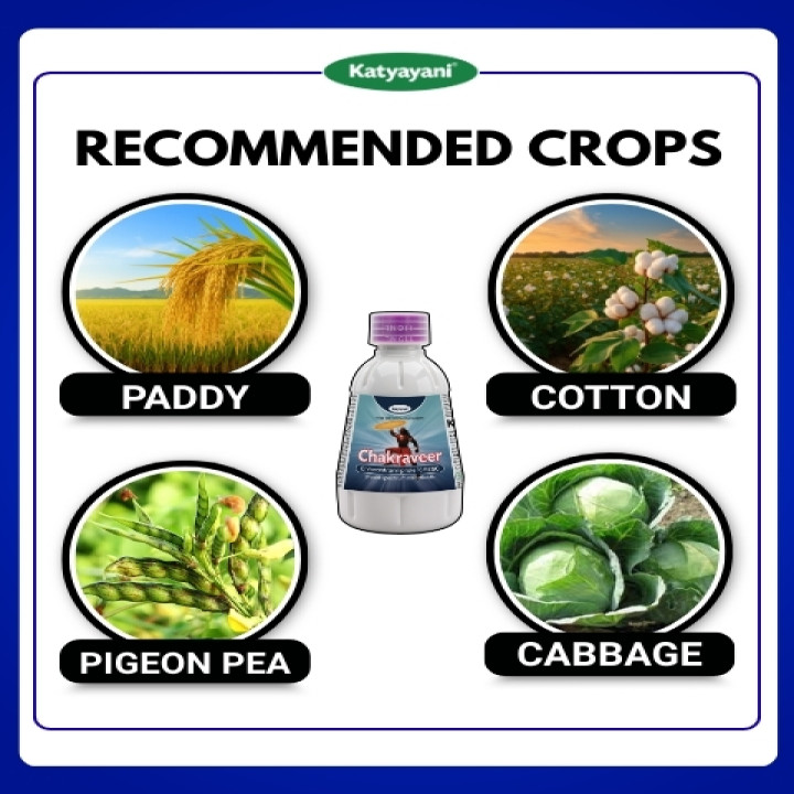 Katyayani Chakraveer Insecticide – thumb