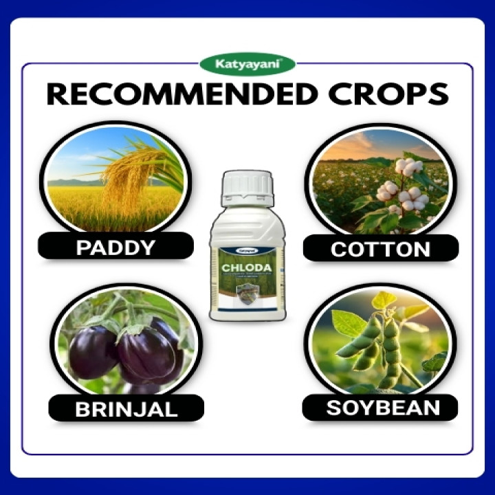 Katyayani Chloda Insecticide – thumb