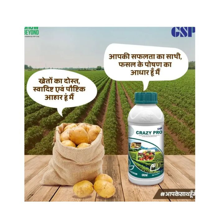GSP Crazy Pro Hydrolyzed Protein – thumb