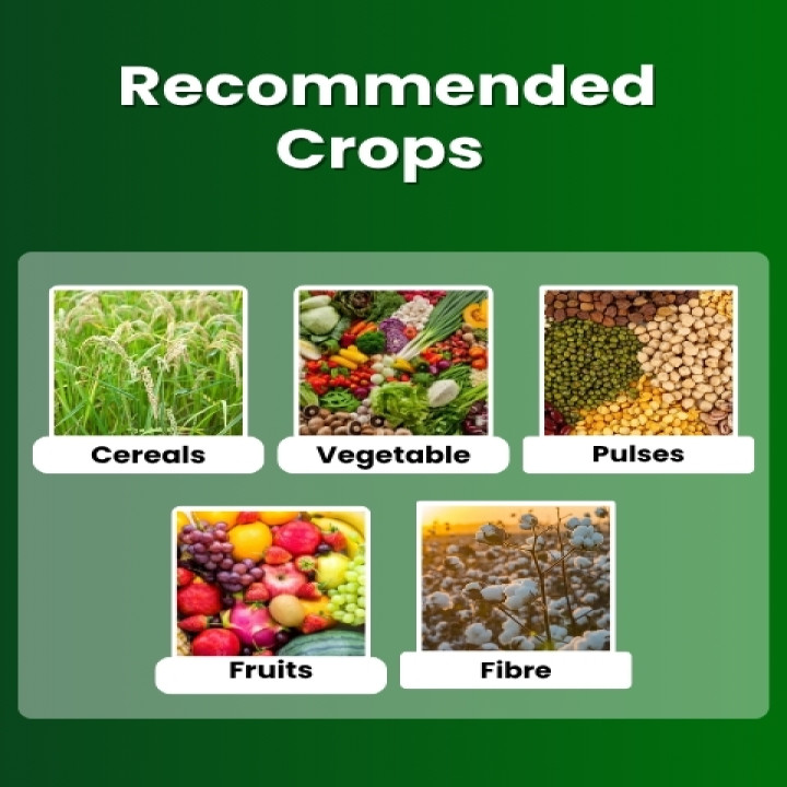 Katyayani NPK 12:61:00 Fertilizer – thumb