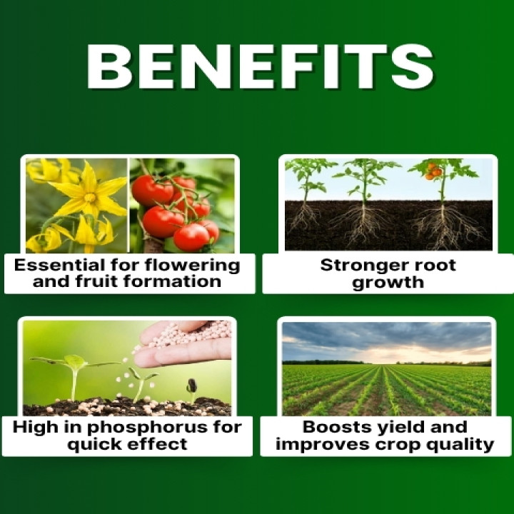 Katyayani NPK 12:61:00 Fertilizer – thumb