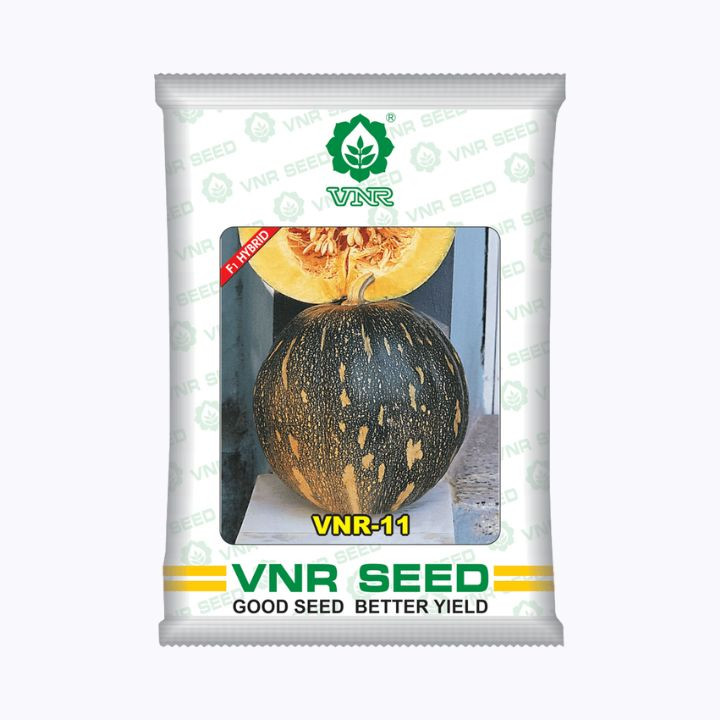 VNR 11 F1 Hybrid Pumpkin Seeds