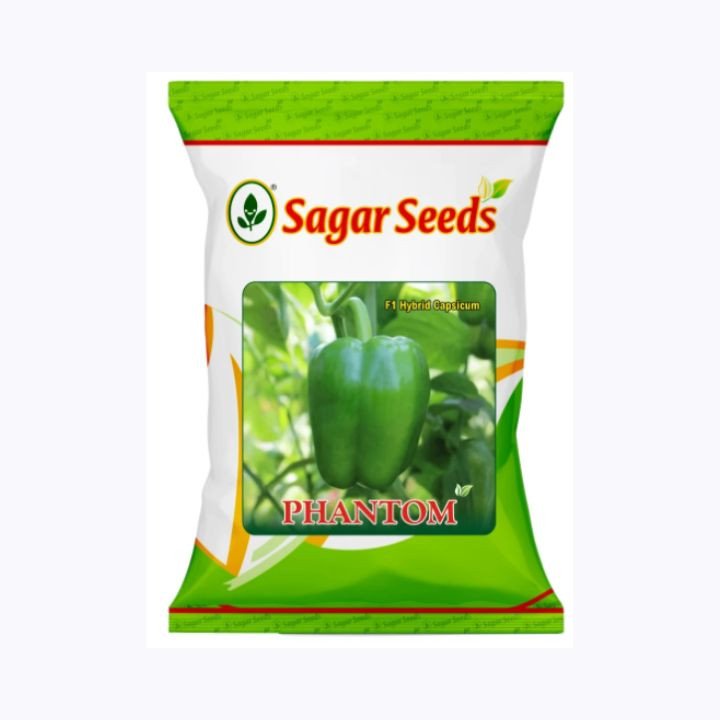 Sagar Phantom F1 Hybrid Capsicum Seeds – main view