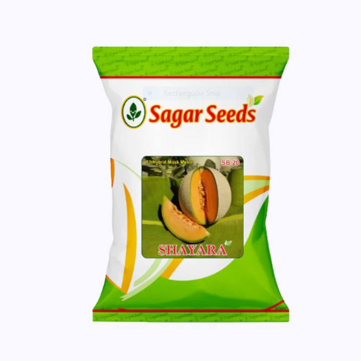 Sagar Shayara F1 Hybrid Muskmelon Seeds