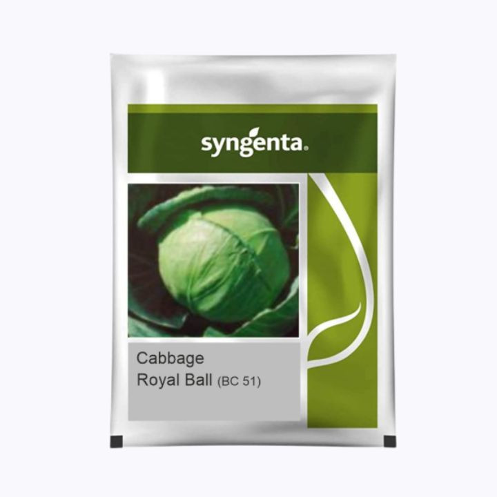 Syngenta BC-51 Cabbage Seeds (Royal Ball) Seeds