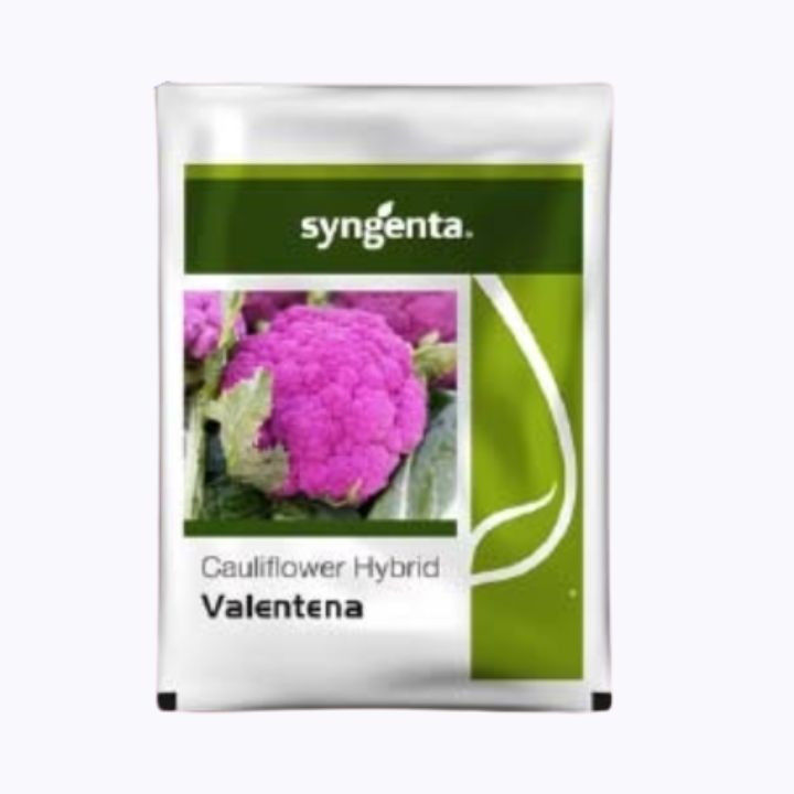 Syngenta Valentena Cauliflower Seeds