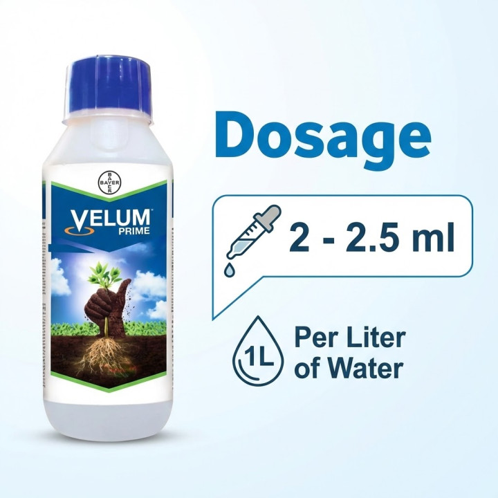 Bayer Velum Prime Nematicide – thumb
