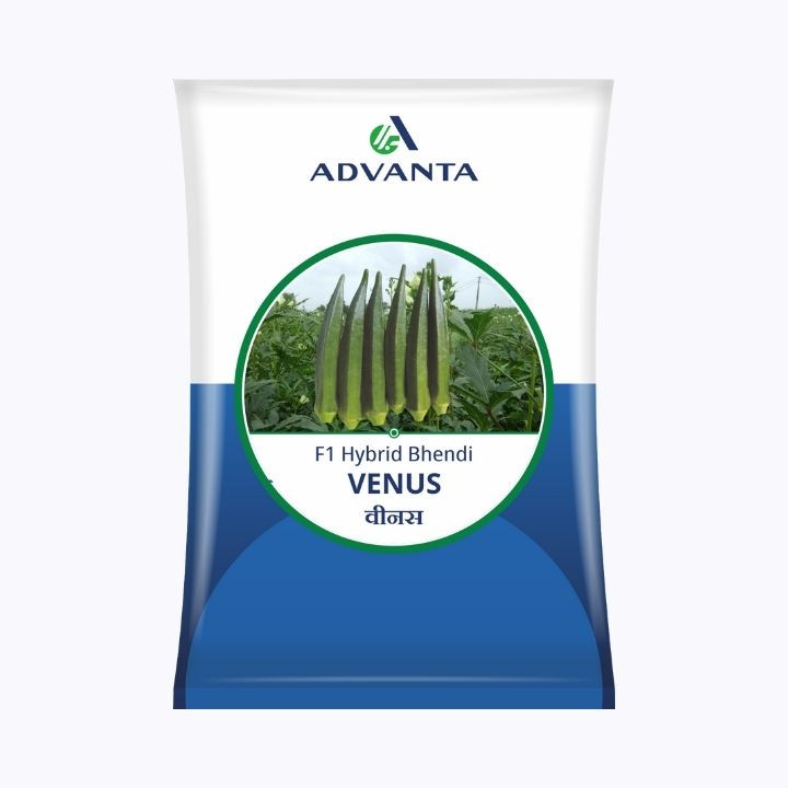 Advanta Venus F1 Hybrid Bhindi (Okra) Seeds