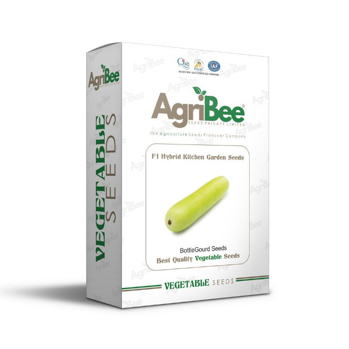 AgriBee F1 Hybrid BottleGourd Seeds (Kitchen Garden Seeds) pack of 10