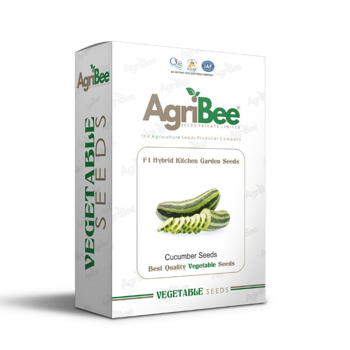 AgriBee F1 Hybrid Cucumber Seeds (Kitchen Garden Seeds) pack of 10