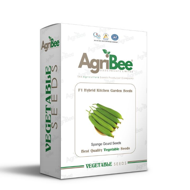 AgriBee F1 Hybrid SpongeGourd Seeds (Kitchen Garden Seeds) pack of 10