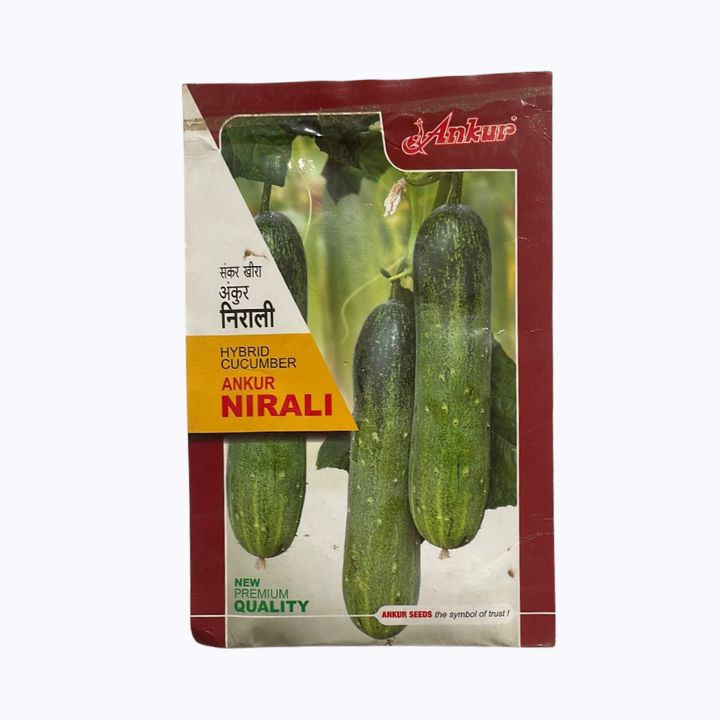 Ankur Nirali F1 Hybrid Cucumber Seeds