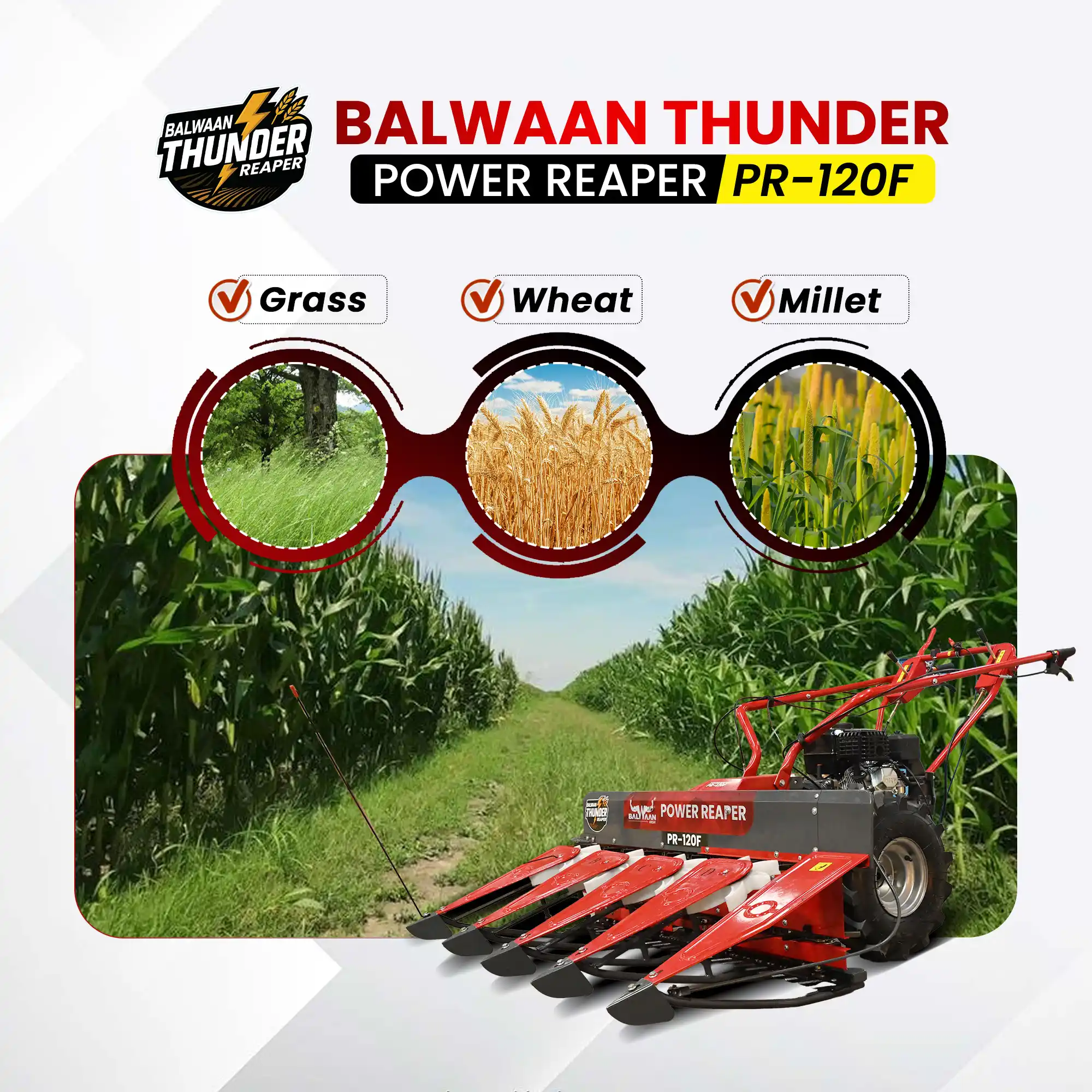 Balwaan Petrol Reaper 4 Row PR- 120E