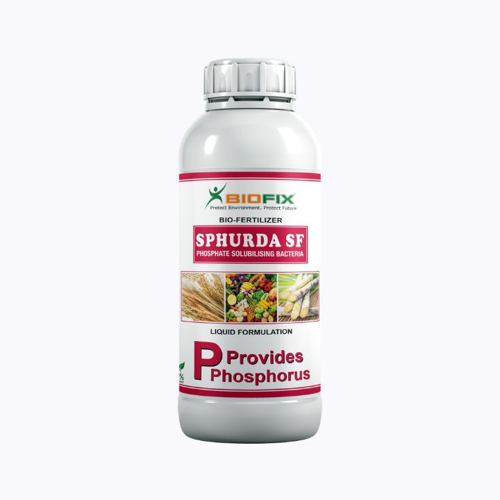 Biofix Sphurda SF – Phosphate Solubilizing Bio-Fertilizer