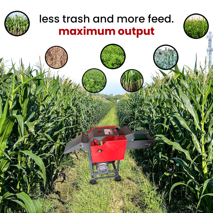 Fenton FCC Chaff Cutter 3 HP Electric Heavy Duty Machine – thumb