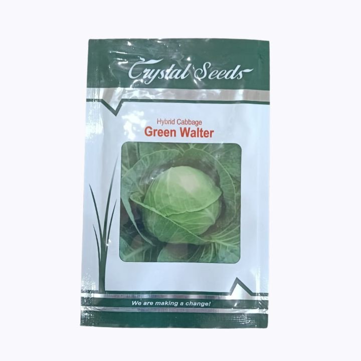 Crystal Seeds Hybrid Cabbage Green Walter – main view