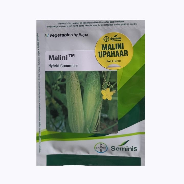 Seminis Malini – Hybrid Cucumber Seeds (Bayer Vegetables) – main view