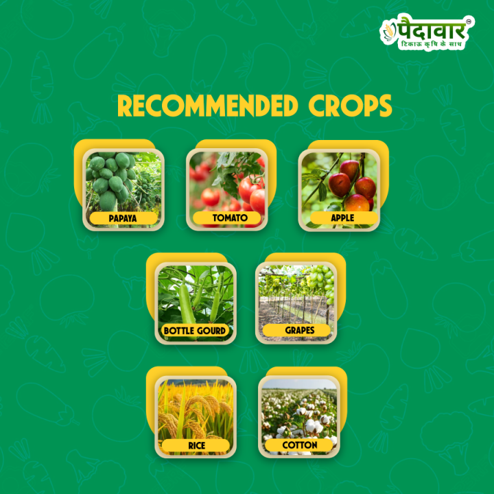 Paidavaar ThioGuard Thiophanate Methyl 70% WP Fungicide – thumb