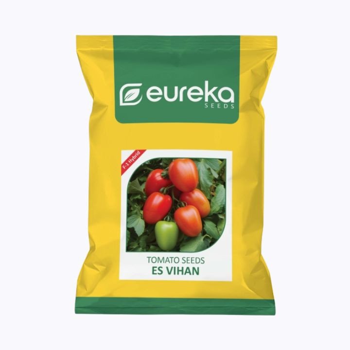 Eureka Vihan F1 Hybrid Tomato ES Seeds – main view