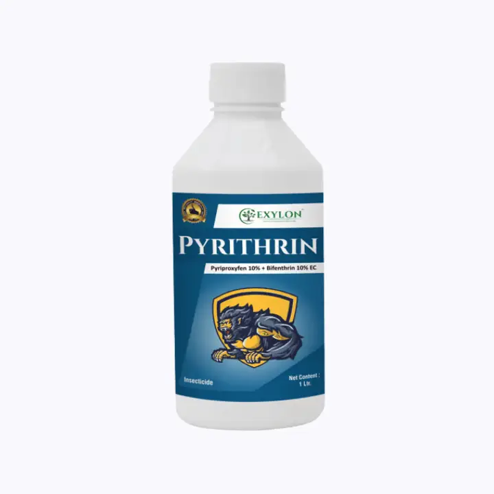 Exylon Pyrithrin Insecticides